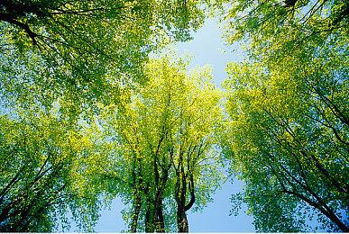 《异星工厂：太空时代》新预告展示全新敌人样貌